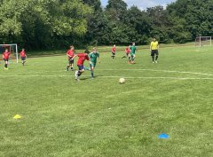 Werder-Cup (1).jpg